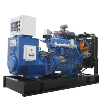 Favorable price and Steady power output 15kw straw gas generator